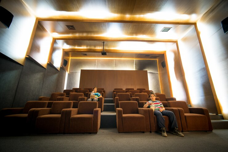 Theater Installation Experts in Braverly Hills